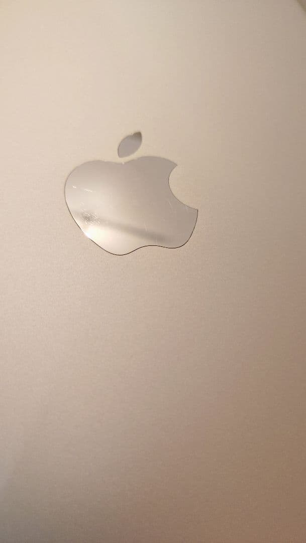 iPad 第9世代 64GB シルバー simフリー バッテリー診断 98%