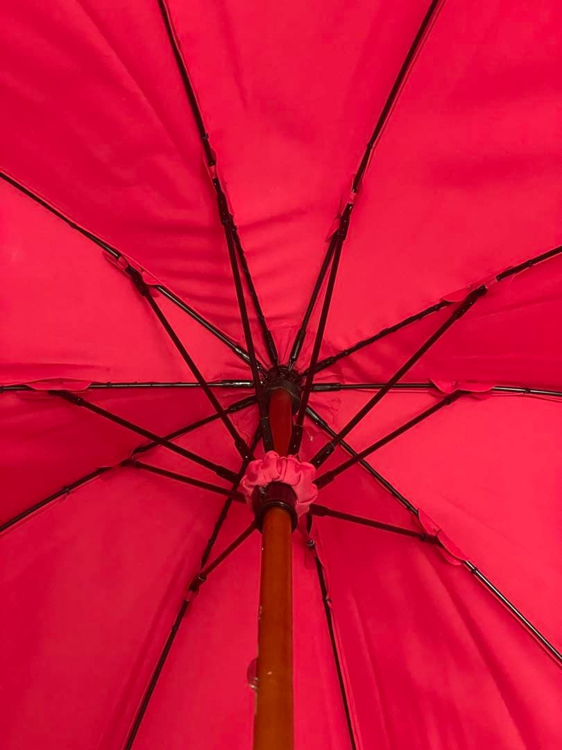 \" DiCesare Designs \" 晴雨兼用日傘 KABOCHA ピンク