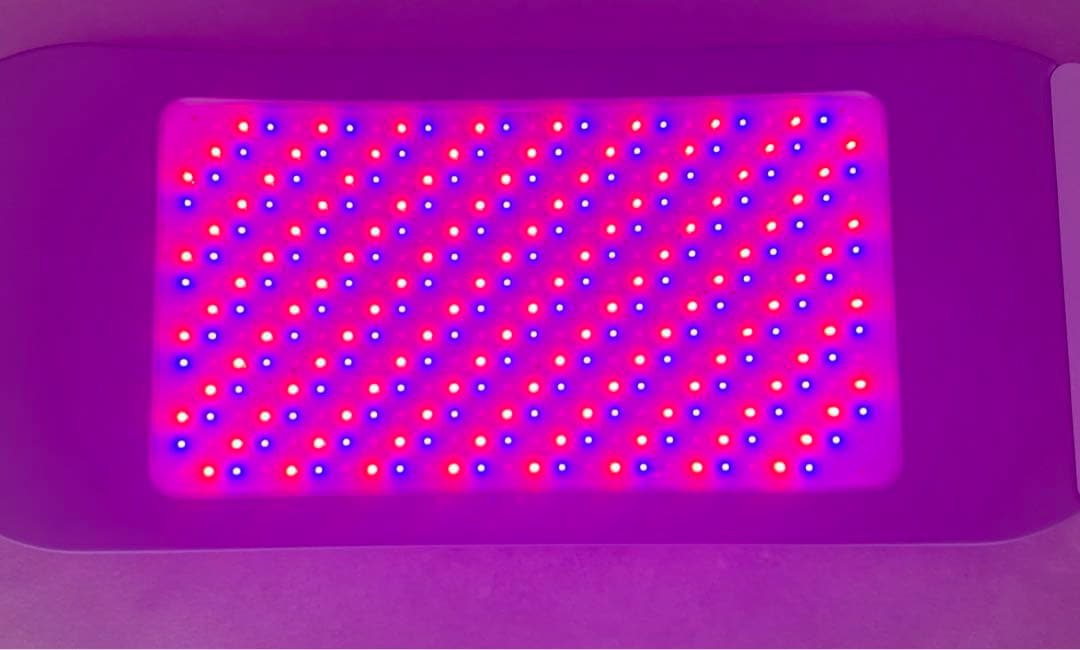 Dermalux フレックスＭＤ　美容機器　カレントボディ