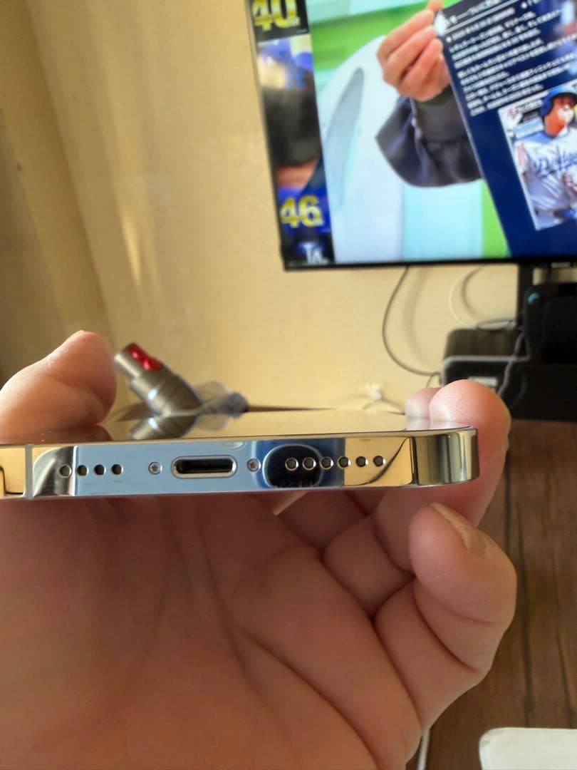 Apple iPhone 12 Pro シルバー 本体SIMフリー