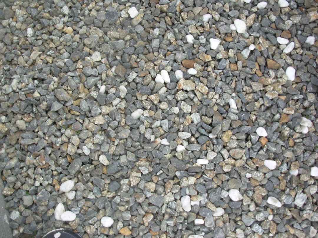 動作確認済み　Nikon COOLPIX L1 スマホ転送OK