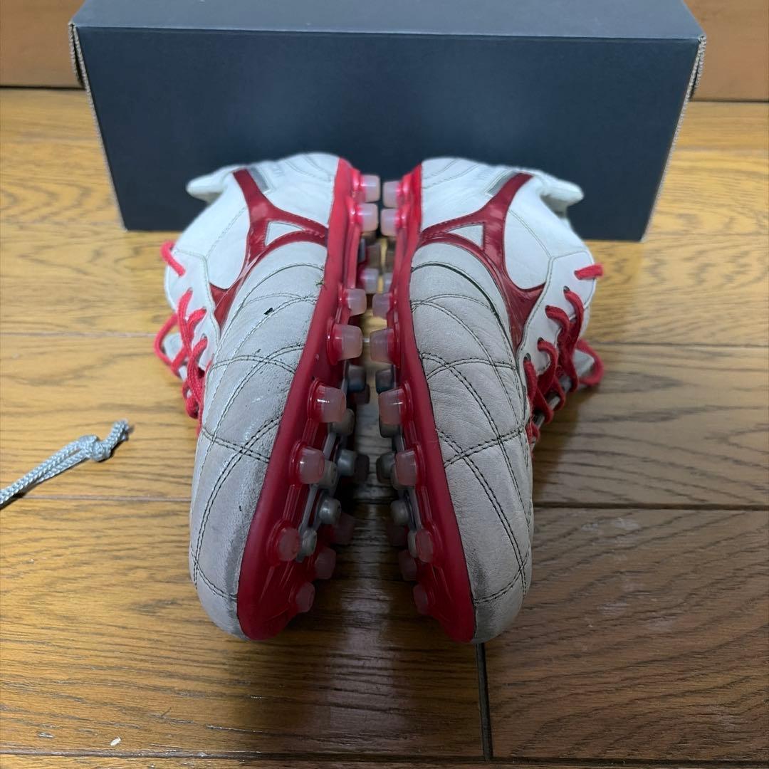 ビスコさん専用