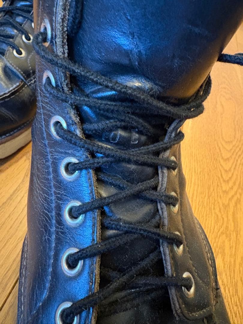 A*A様 RED WINGアイリッシュセッター