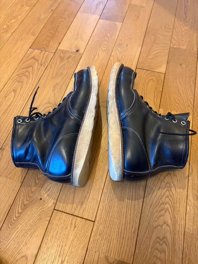 A*A様 RED WINGアイリッシュセッター