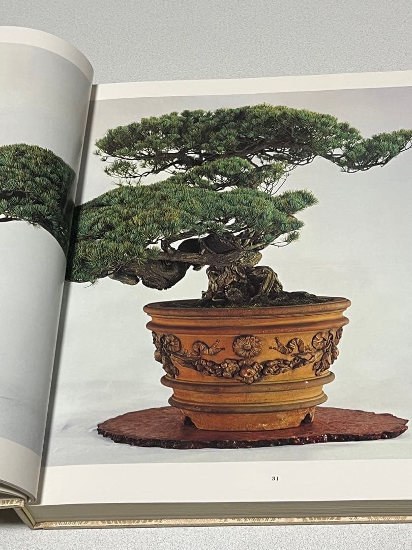 皇居の盆栽　盆栽　盆栽鉢　水盤