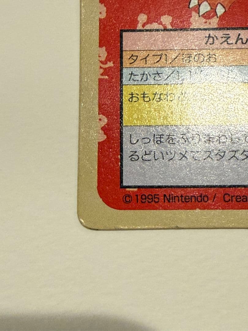 トップサン リザードン＆リザード 裏緑