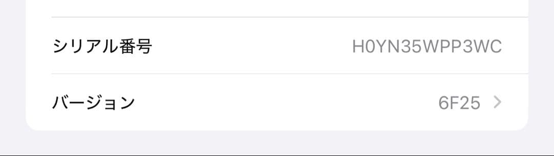 Apple AirPod Max シルバー 本体