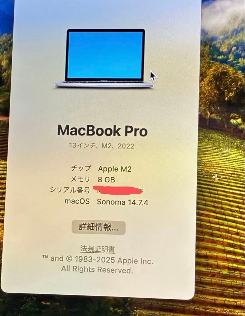 Apple MacBook Pro 2022 13インチ 8GB