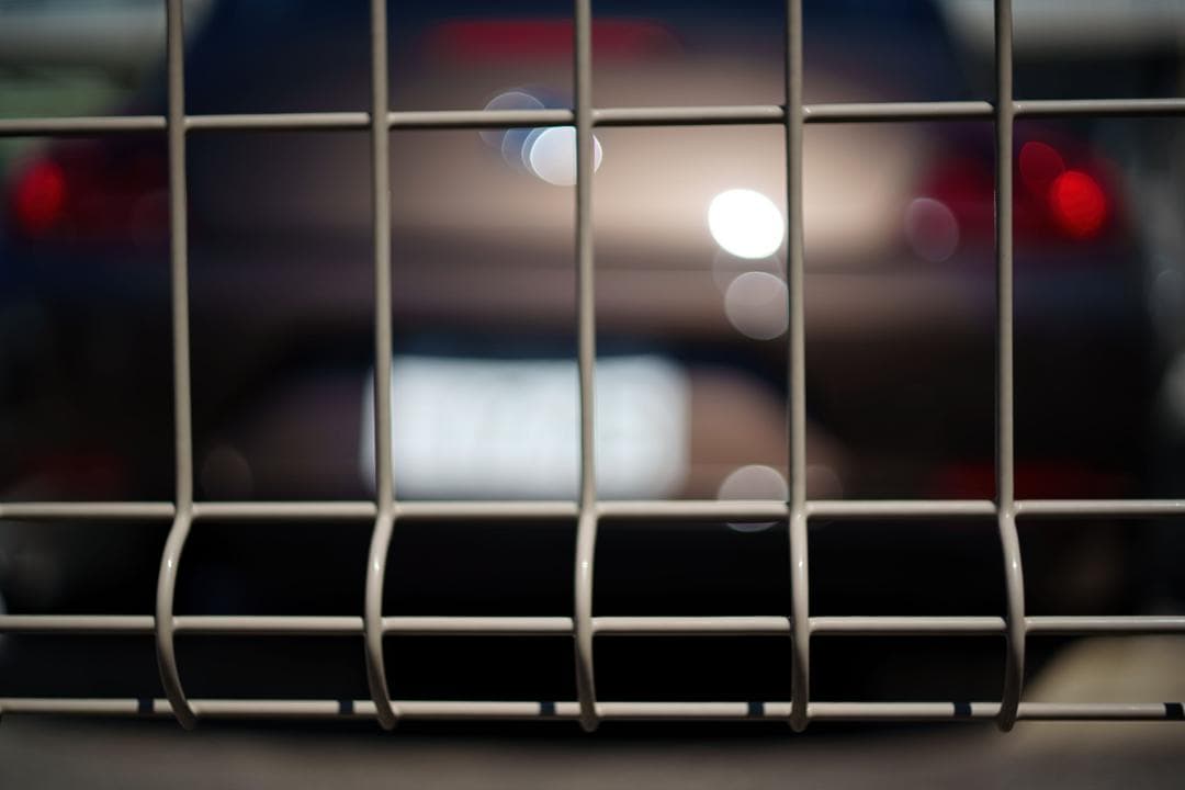 【レア】作例 NIKON NIKKOR-S Auto 1:2 f=5cm 9枚絞