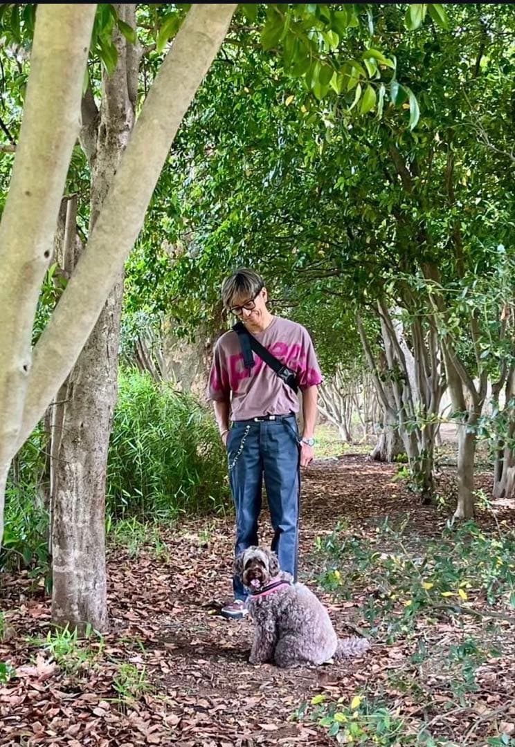 【即納】ディッキーズ 874 スタッズ カスタム 32×30 ブラック