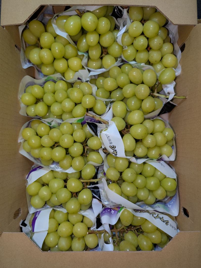 山梨県産ぶどう　シャインマスカット　11房入り　箱込み約5.5kg
