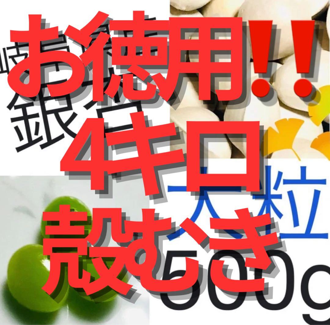 【森のちーさん】岐阜県産　銀杏　大粒　4キロ 殻むき