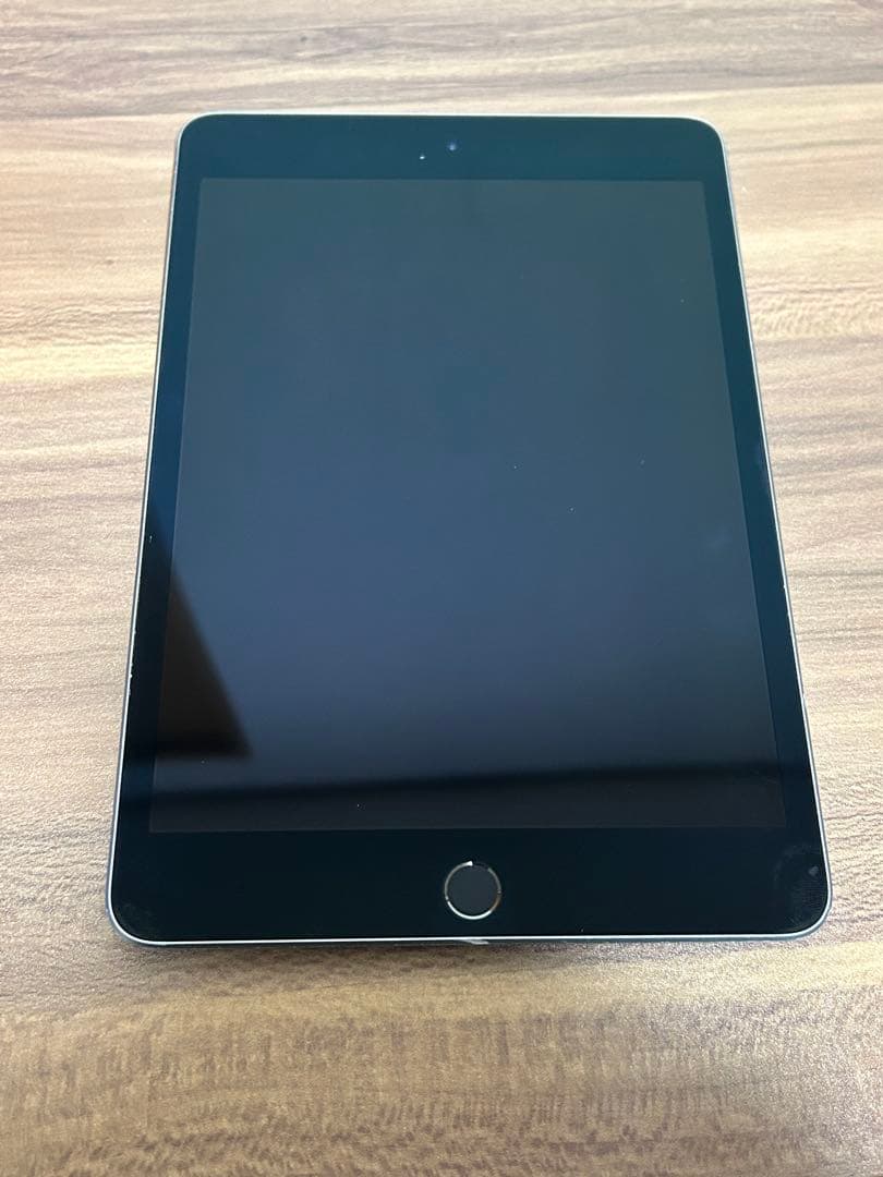 iPad mini 第5世代　64GB スペースグレイ　Wi-Fi