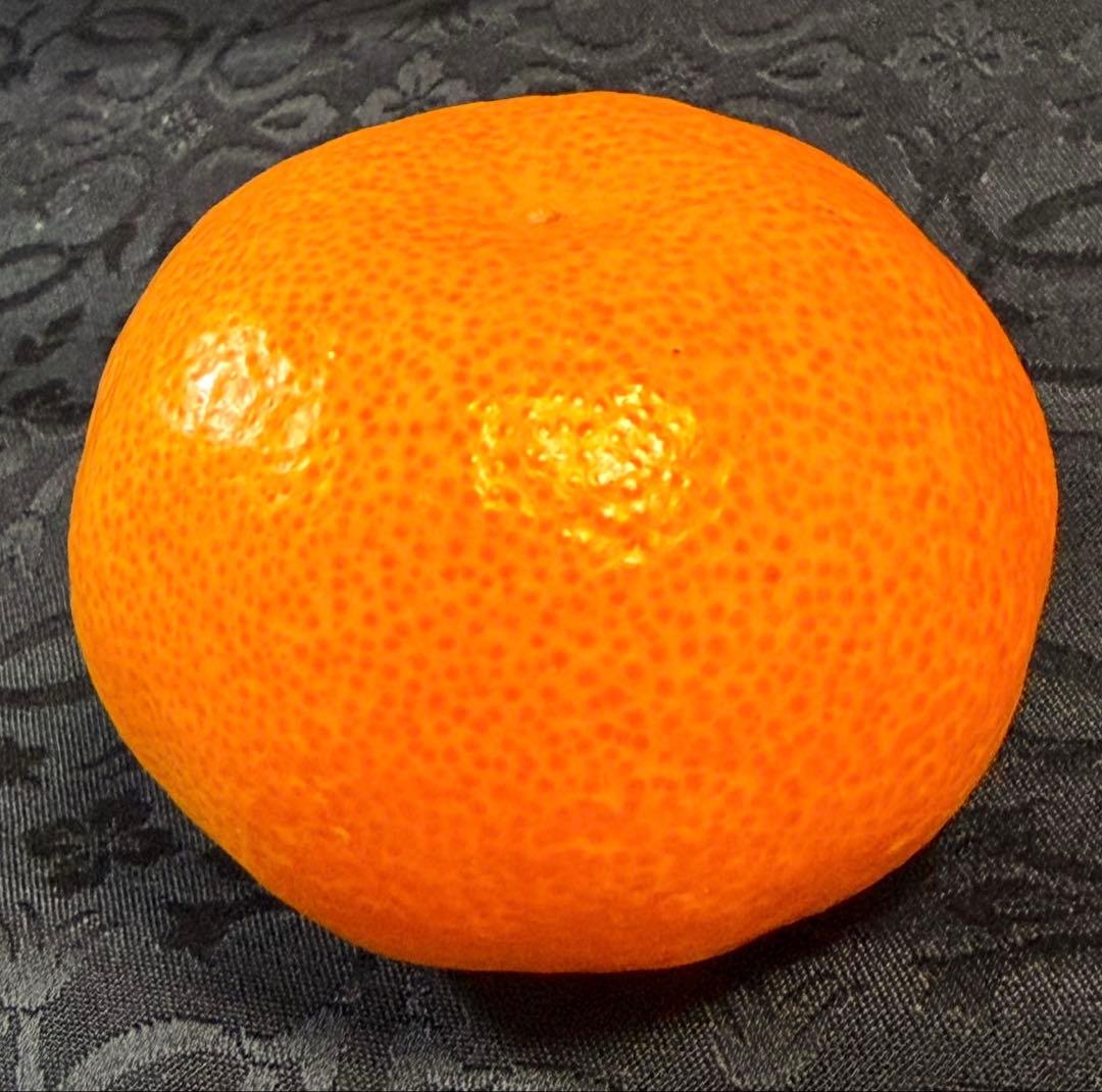 935)数量限定　甘すぎる　有田みかん　果物 　みかん　小玉　旬