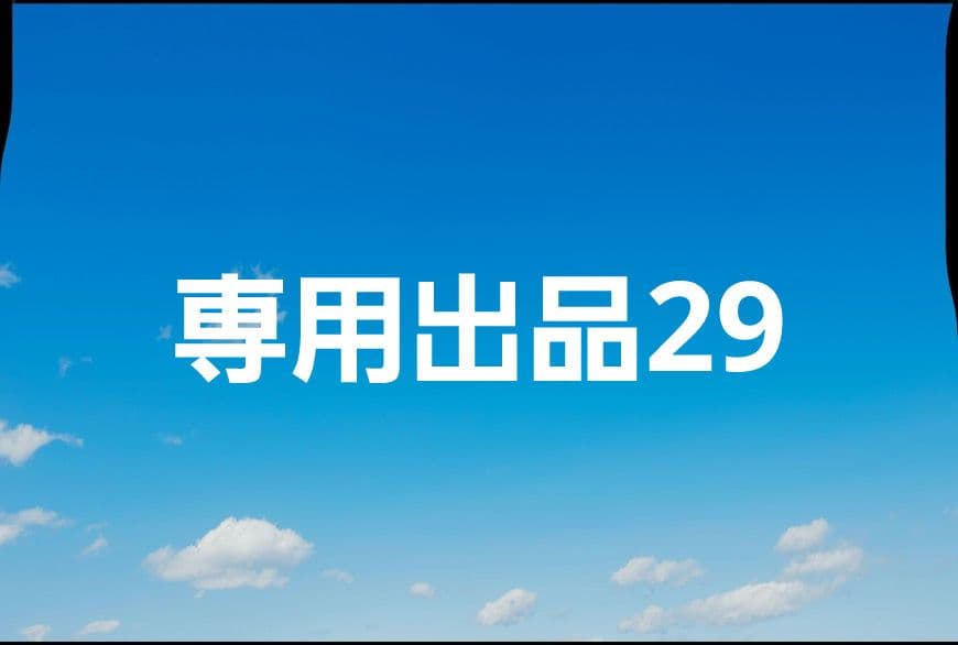 専用出品29