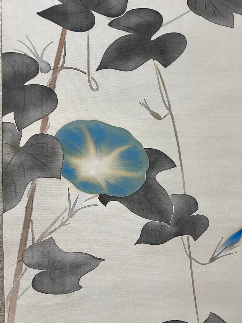 掛け軸　日本画 安田靫彦［朝顔］絹本　木箱！