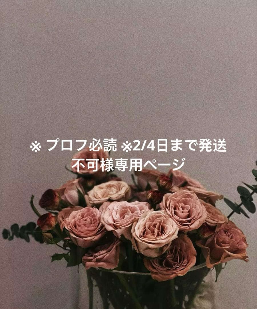※ プロフ必読 ※2/4日まで発送不可ページ
