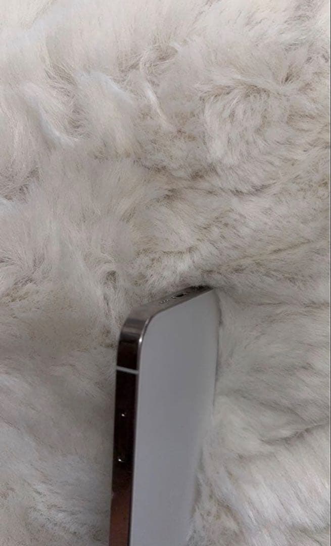 スマートフォン本体 iPhone12Pro