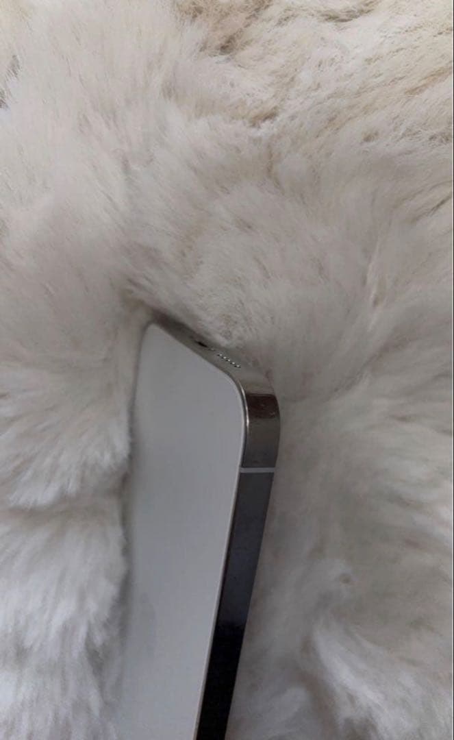 スマートフォン本体 iPhone12Pro