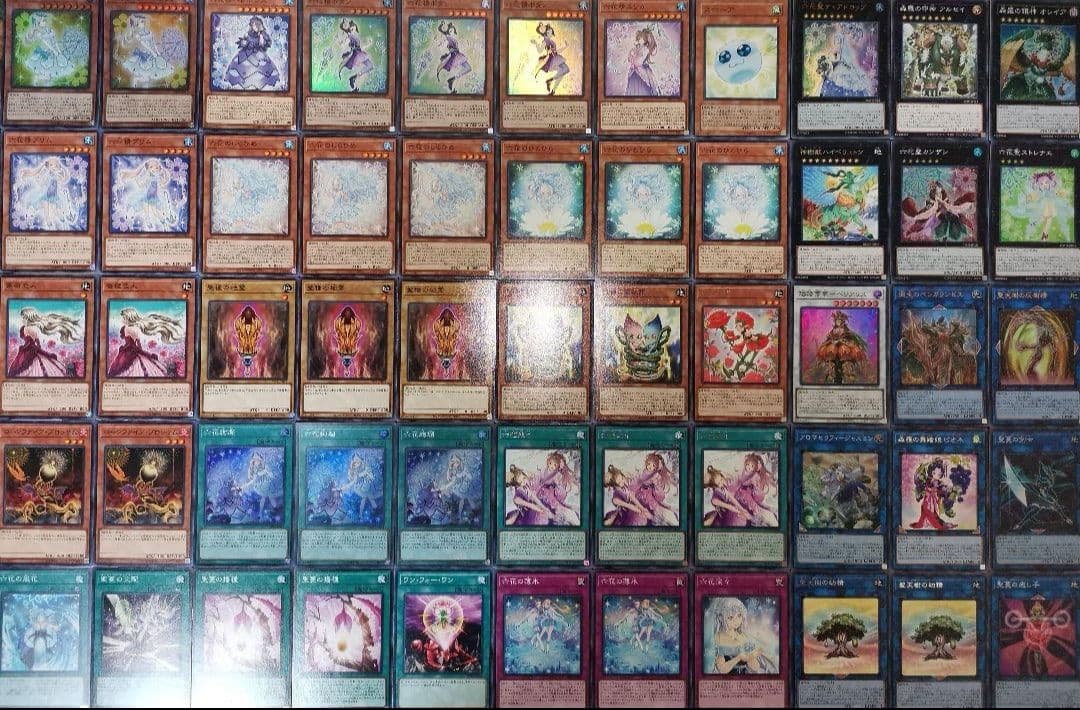 遊戯王　六花×アバロンデッキ　ガチ構築