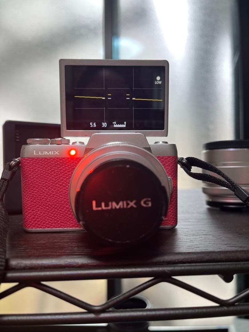 LUMIX G ミラーレスカメラ ピンク