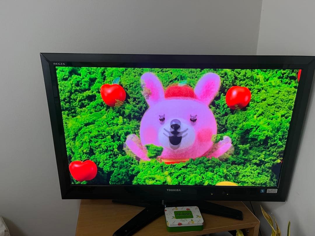 東芝 REGZA 37Z1S 液晶テレビ 本体 リモコン 37型