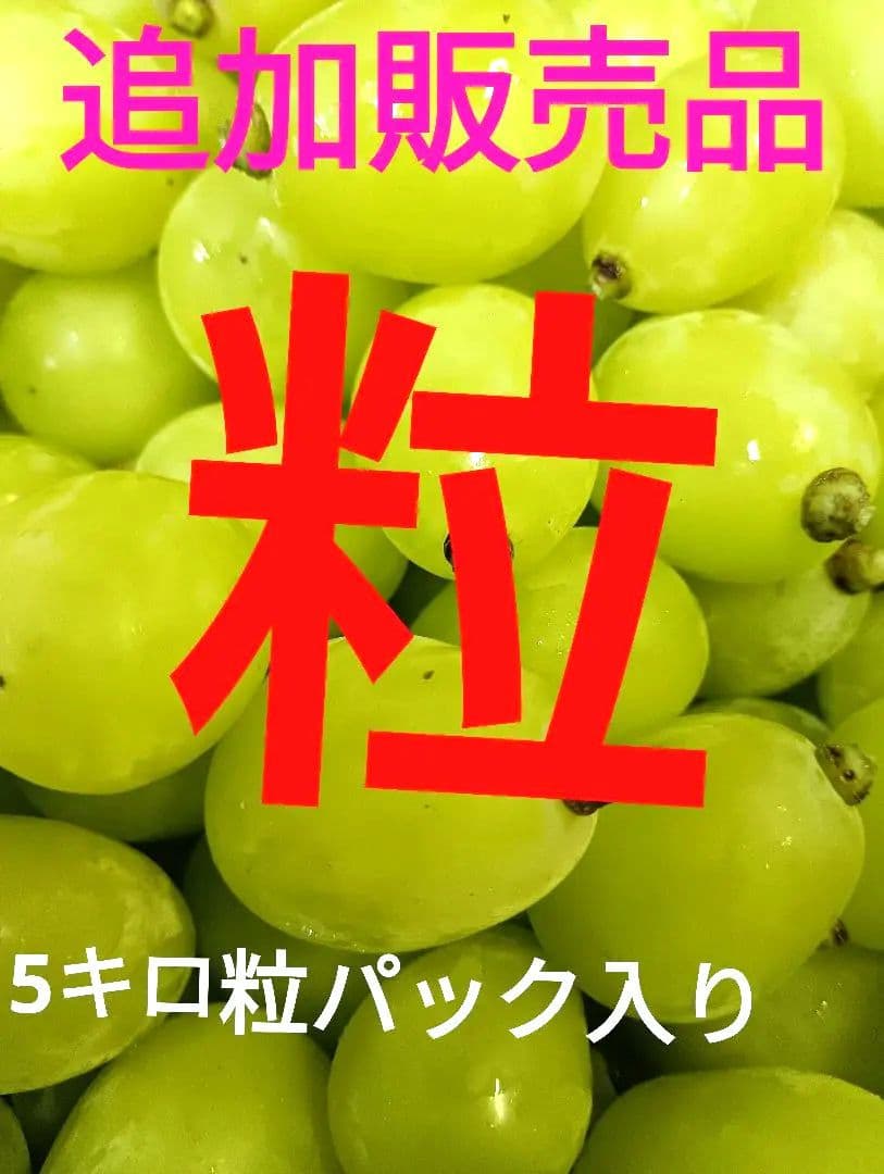 年末限定特売品シャインマスカット5キロ粒バック入りになります。追加販売
