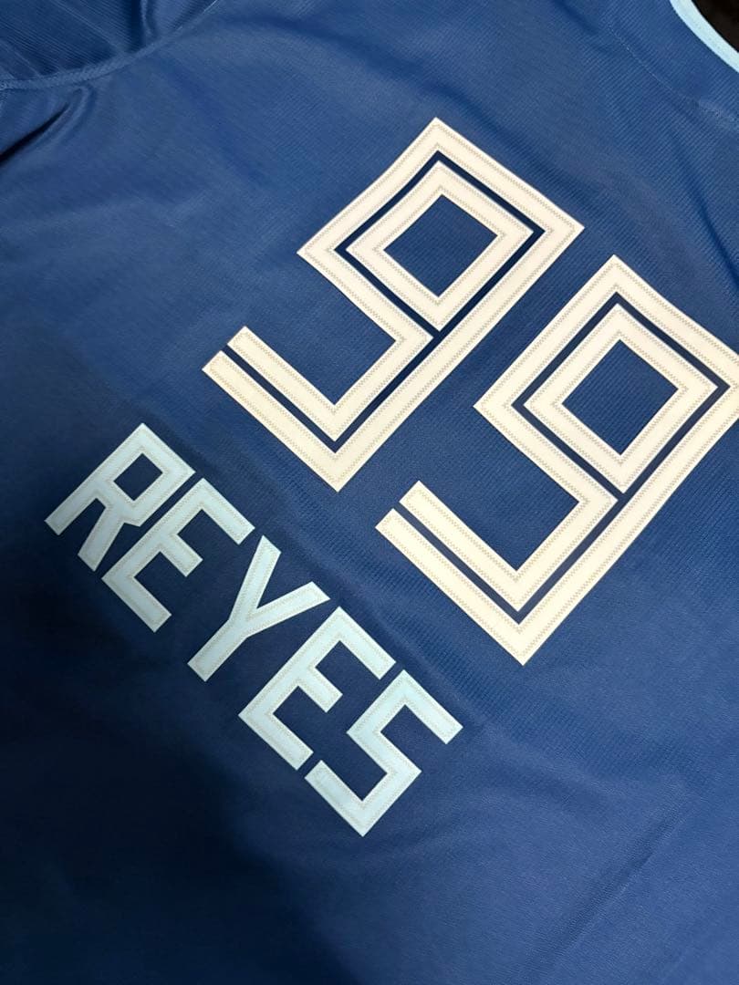 レイエス　応援グッズ　WE LOVE HOKKAIDO ユニ　ファイターズ