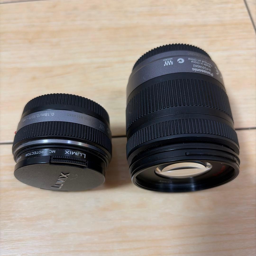 Panasonic LUMIX GF2 ダブルレンズキット ホワイト