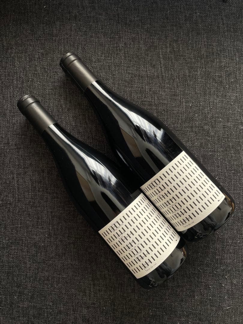 Terre de ciel 2023ワイン