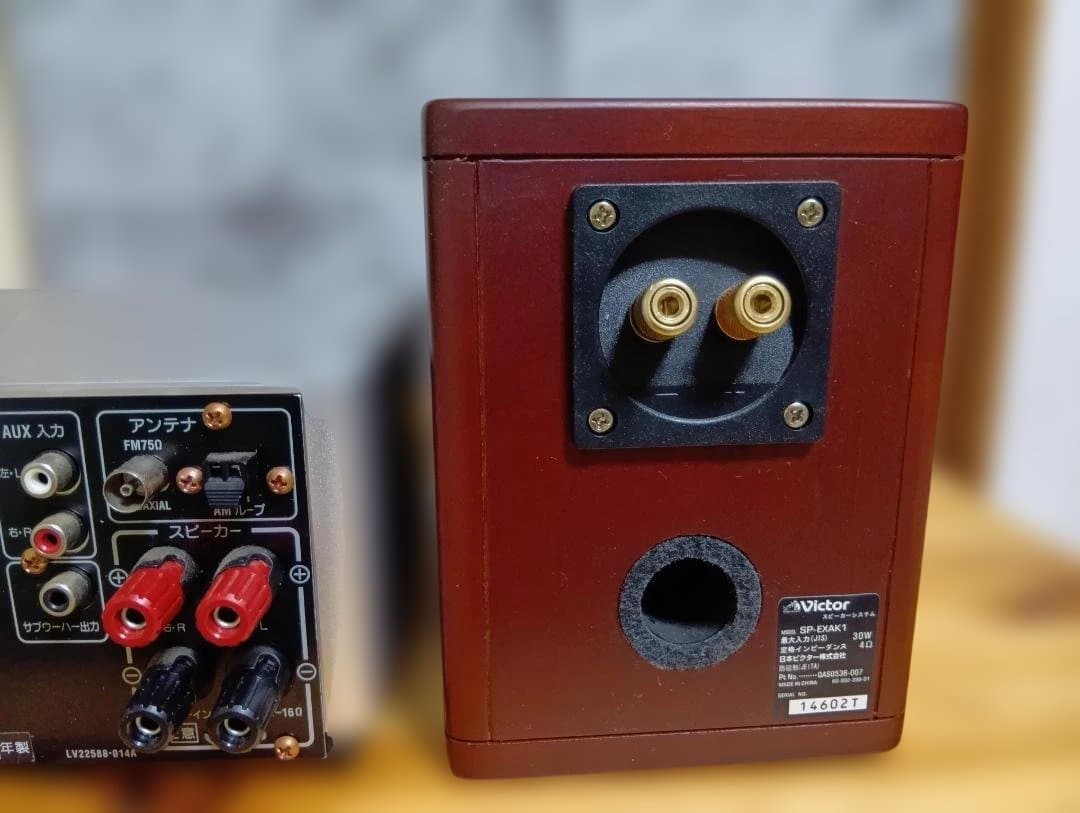 Victor EX-AK1 ウッドコーンスピーカー