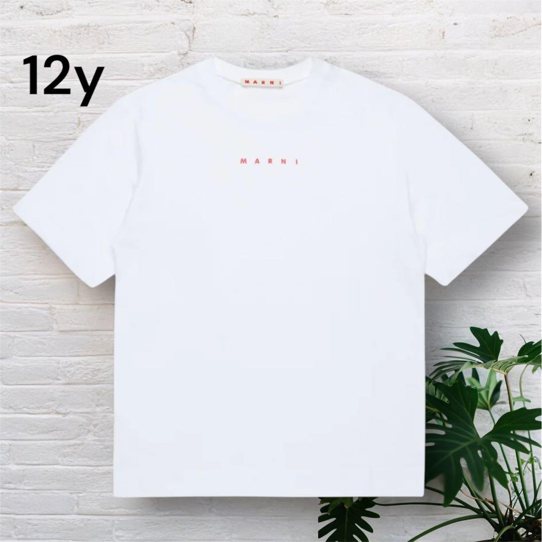 新品未使用 MARNI キッズ 2025SS ロゴ Tシャツ 大人もOK！