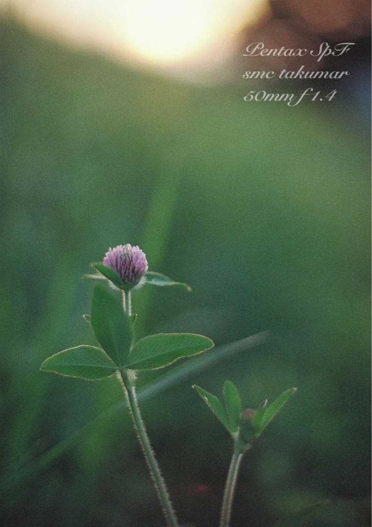 pentax spf（ブラック&ホワイト）本革外装★f1.4＊完動品＊初期保証