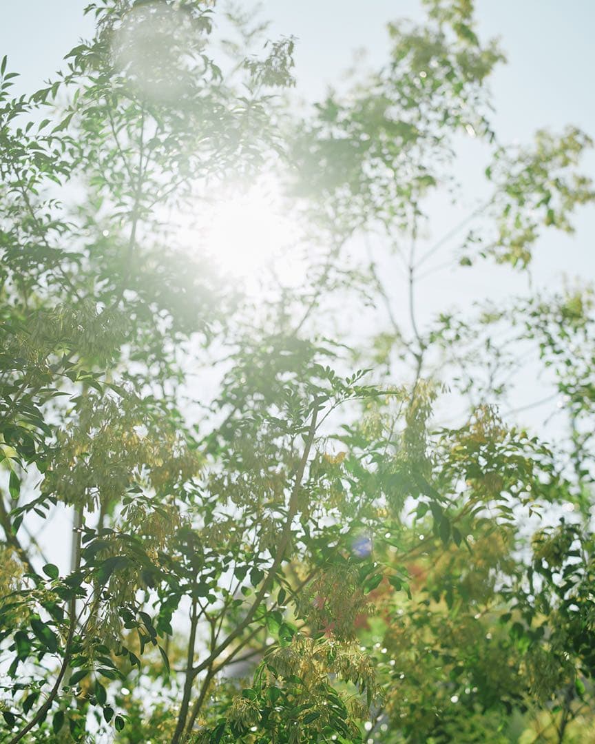 mitakon 65mm f1.4 fujifilm gマウント　gfx