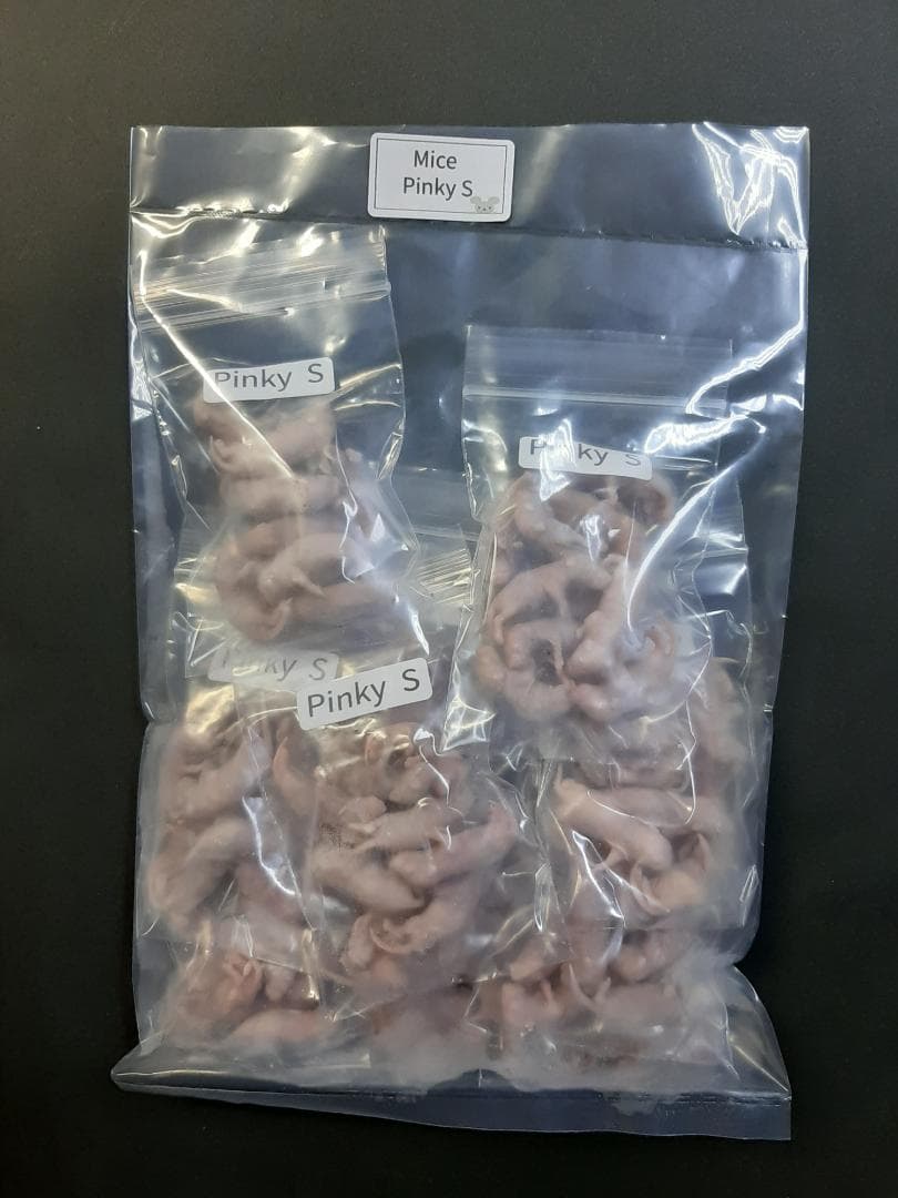 【on】国産冷凍マウス ピンクS 1000匹