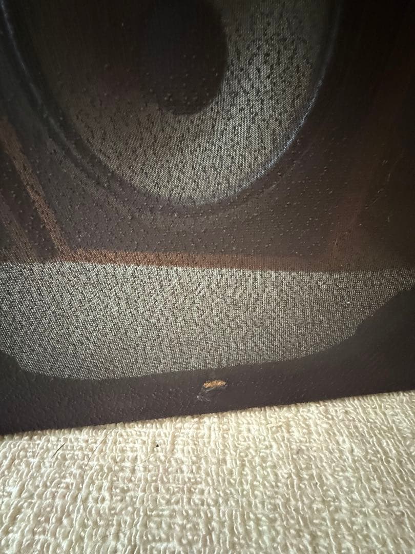 【レア・ヴィンテージ】SONY CARBOCON SS-5050 スピーカーペア