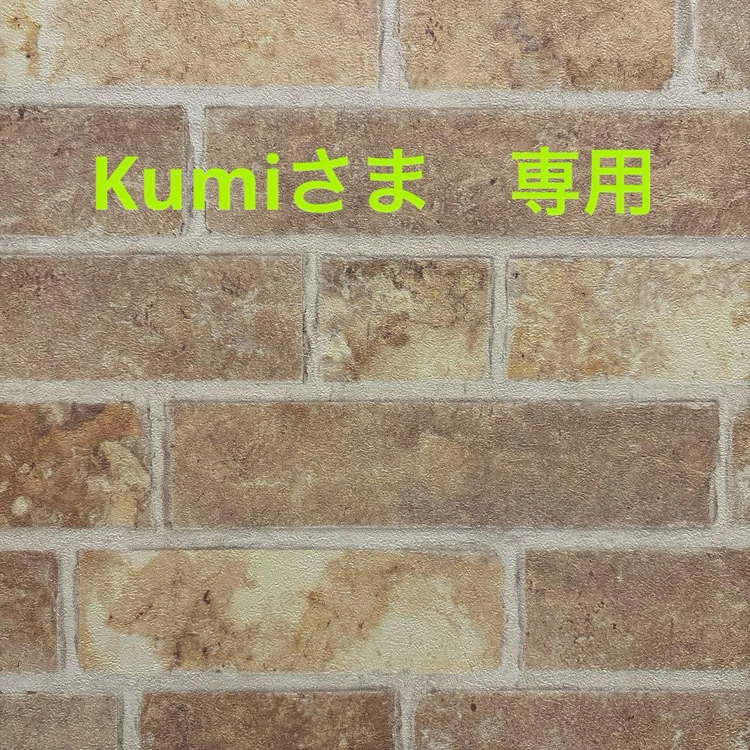 Kumiさま　専用　おまとめ