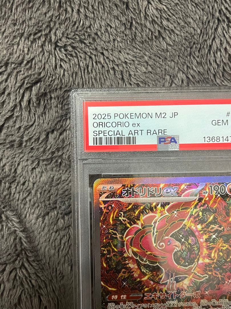 オドリドリ　-ＰＳＡ１０