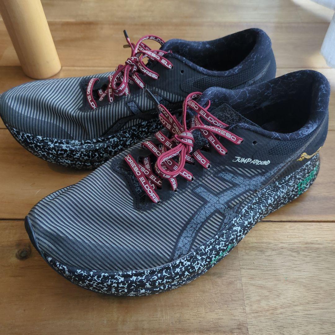 ASICS x ELDORESSO S4 26.0 エルドレッソ