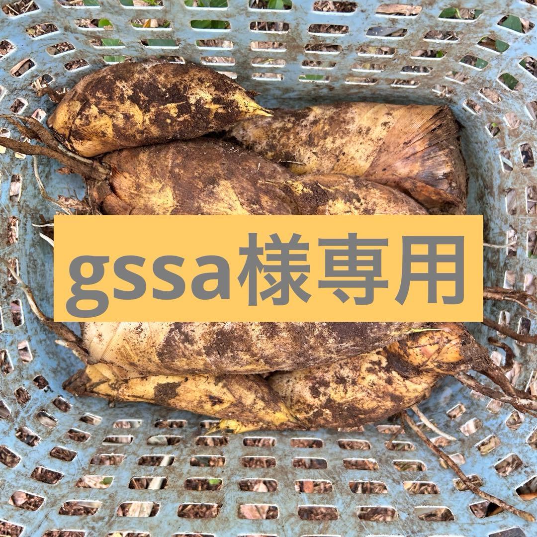 早掘り筍 3kg