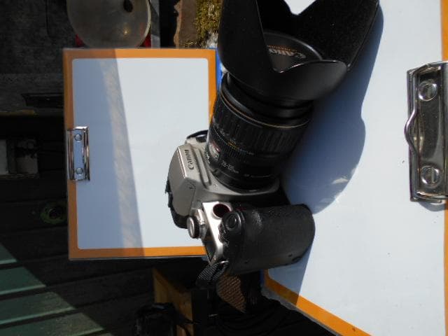 フィルムカメラ