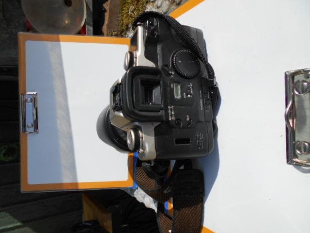 フィルムカメラ