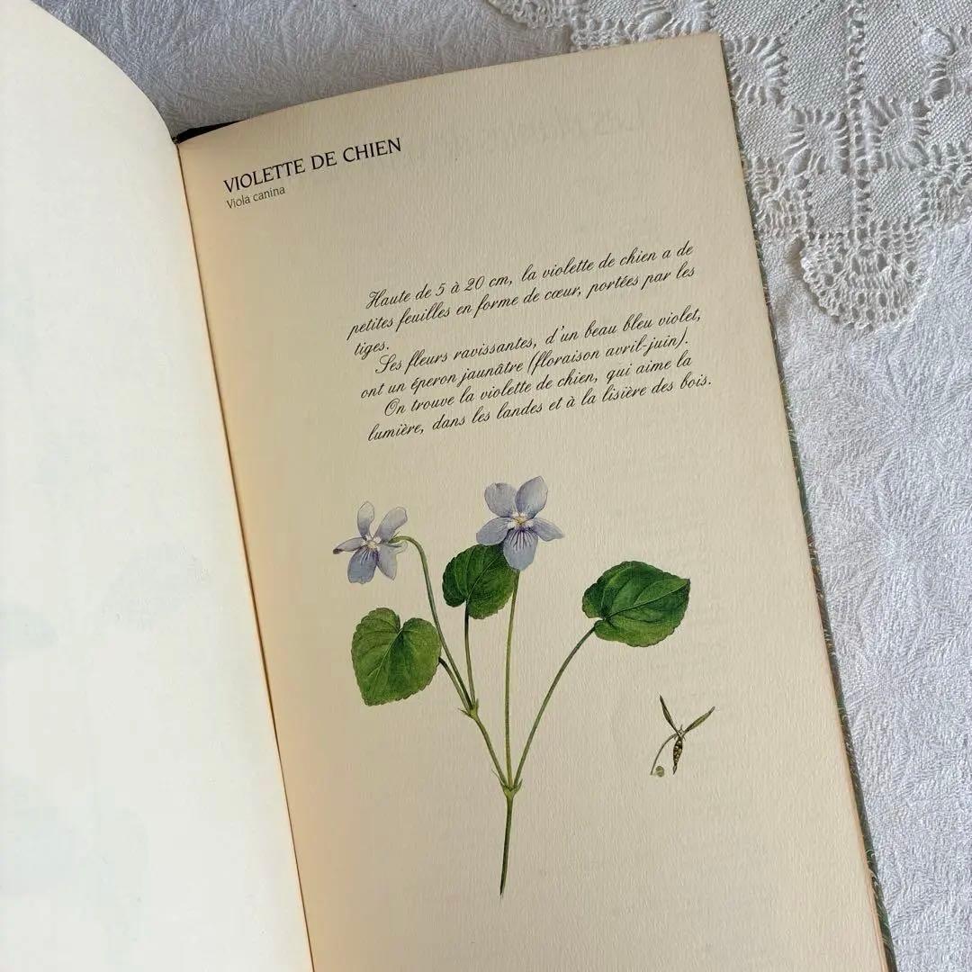 【希少・美品】1990年 美しいフランス植物図鑑　ナタン社　NATHAN