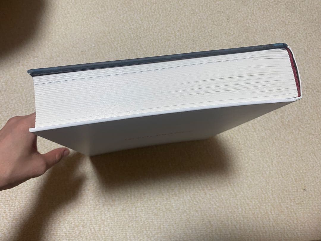 Luc Tuymans アートブックIntolerance