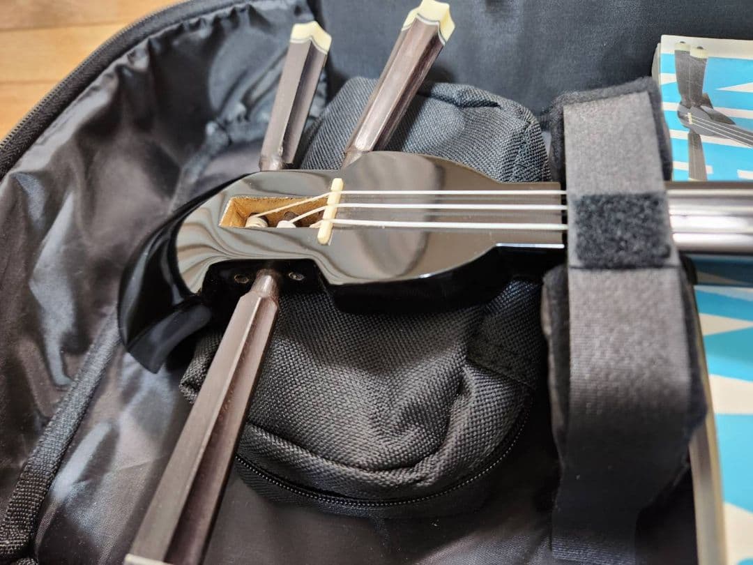 沖縄三線　ヘビ皮 ケース付き