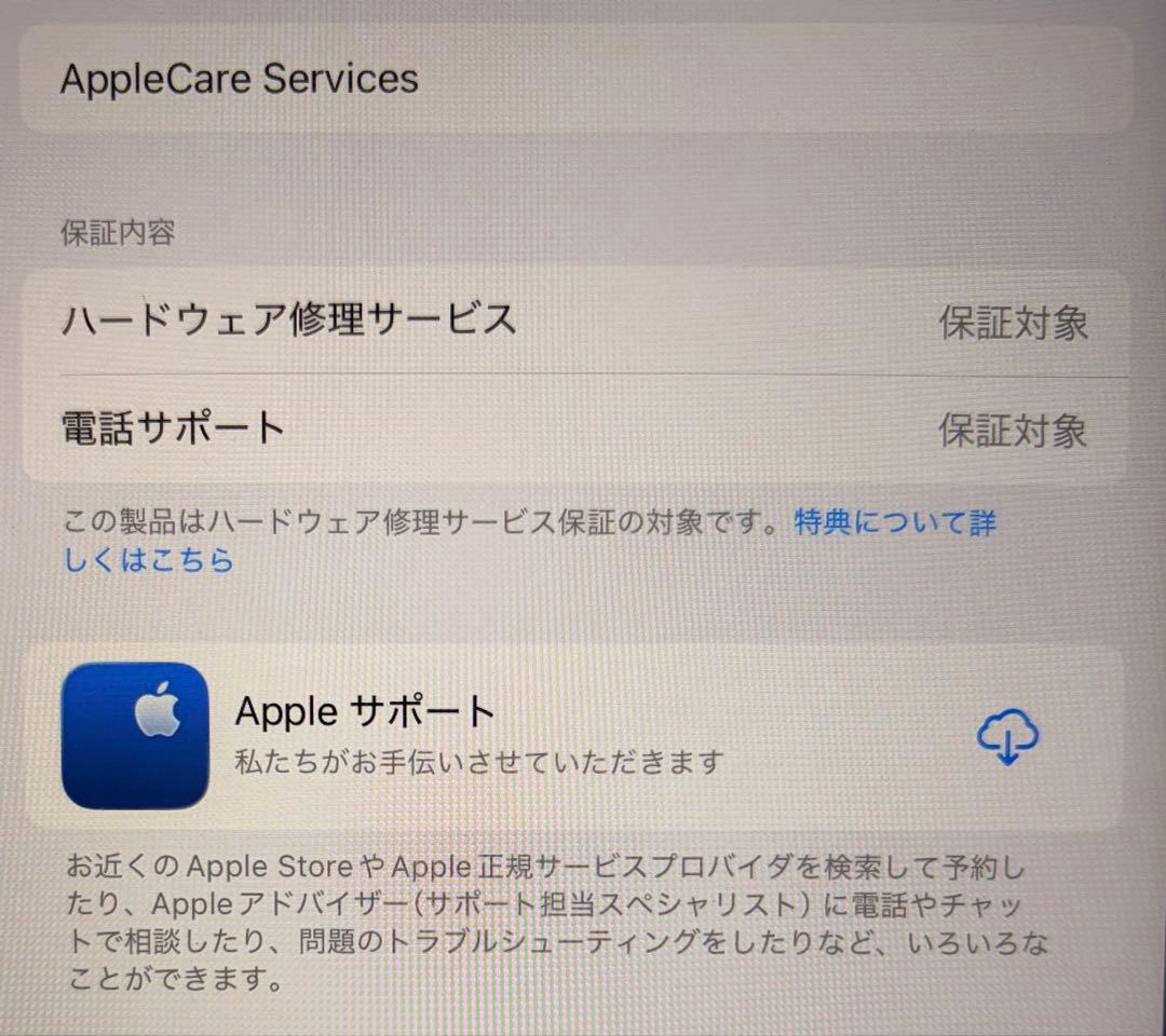 【美品】ipad(A16)Wi-Fi+セルラーモデル(充電回数4回)即日配送