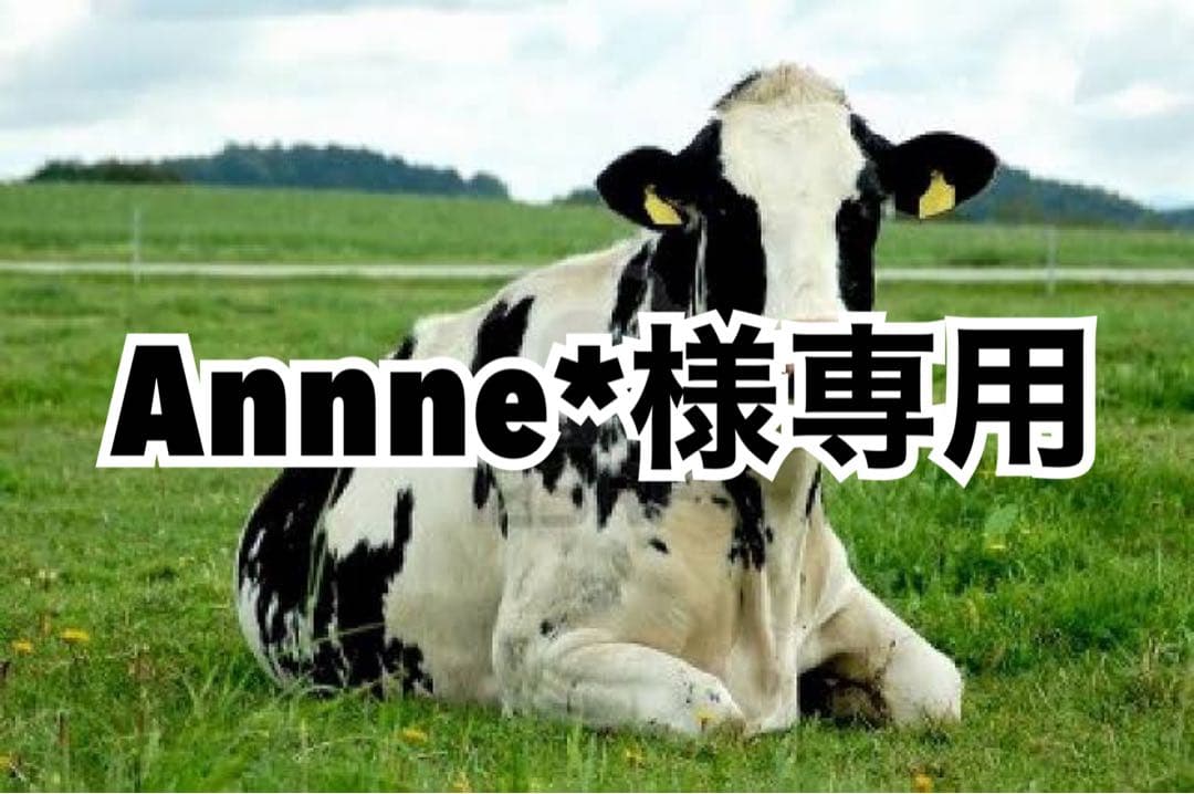 画像内容＋ブラウン10