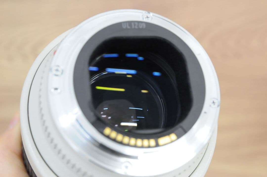 大*ン様 【ジャンク品】Canon EF 70-200mm F2.8 L USM