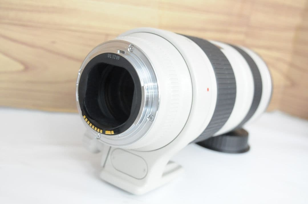 大*ン様 【ジャンク品】Canon EF 70-200mm F2.8 L USM