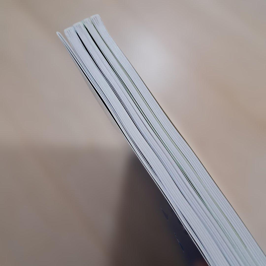 【未使用】 ディズニー英語システム　シングアロング　DVD　Sing Along